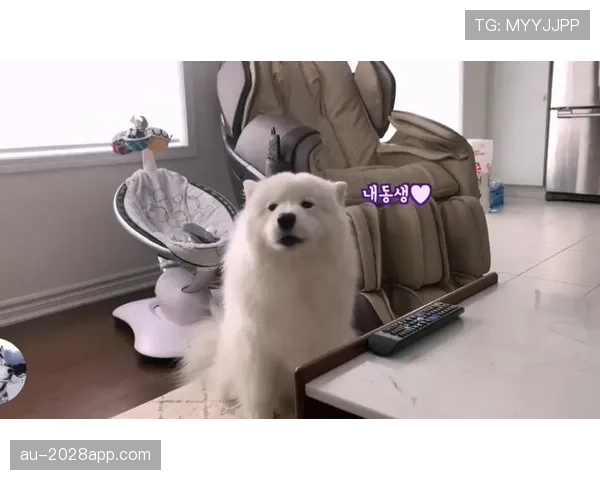 蒋林静家的狗都比我会花钱