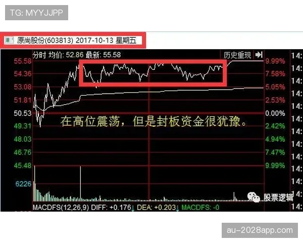 从组织前腰到自由核心：B费角色演变的战术逻辑与功能转型